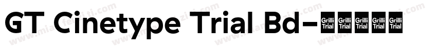 GT Cinetype Trial Bd字体转换